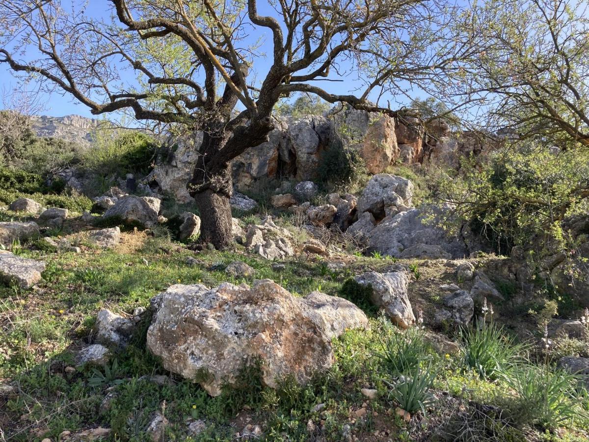 Casa Limonero Villa Casarabonela Kültér fotó